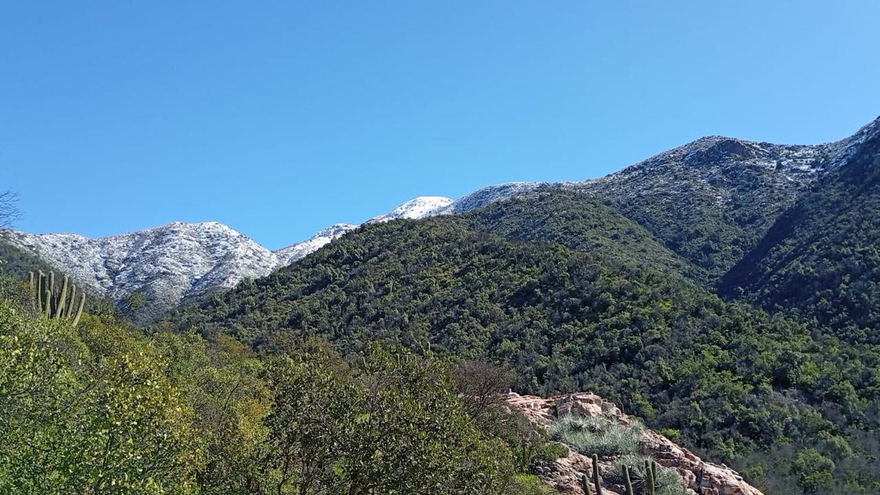 Laderas cubiertas de bosque esclerófilo con cumbres nevadas al fondo