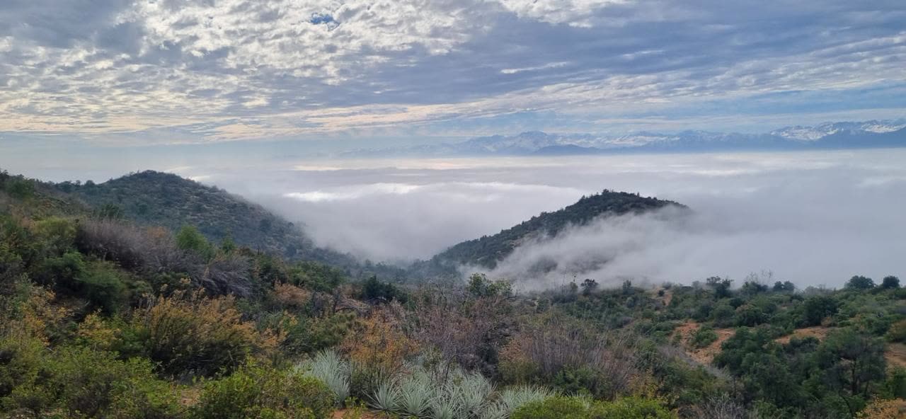 Mar de nubes cubriendo el valle al amanecer, visto desde la altura