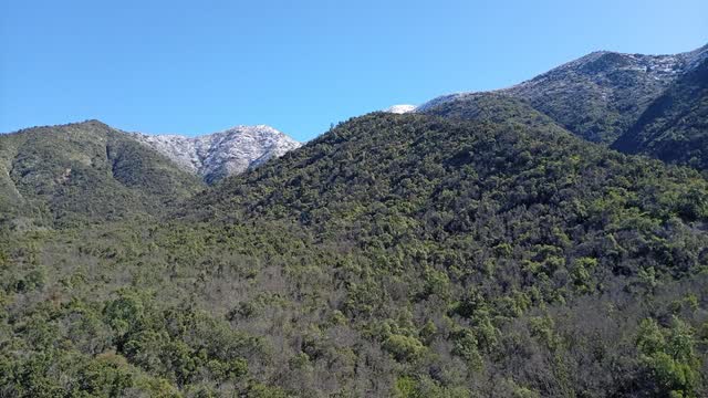 Manto continuo de bosque nativo cubriendo las laderas de la quebrada