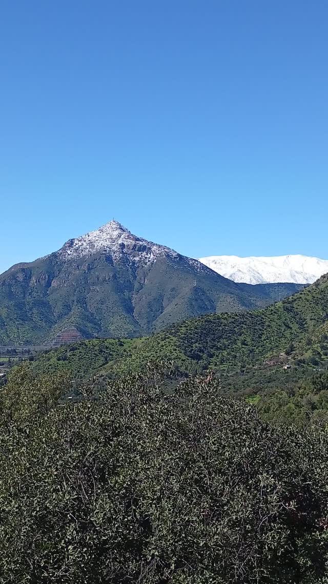 Cumbre con nieve reciente vista desde el bosque
