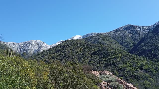 Cumbres con nieve sobre laderas de bosque esclerófilo