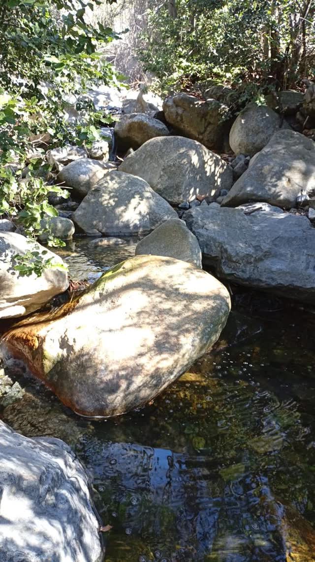 Estero corriendo entre grandes rocas redondeadas y vegetación