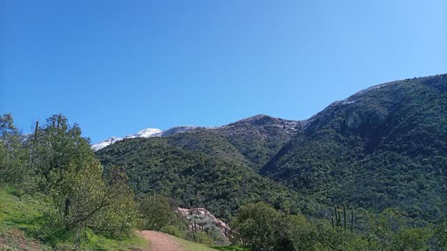 Ladera con bosque nativo y nieve en las partes altas
