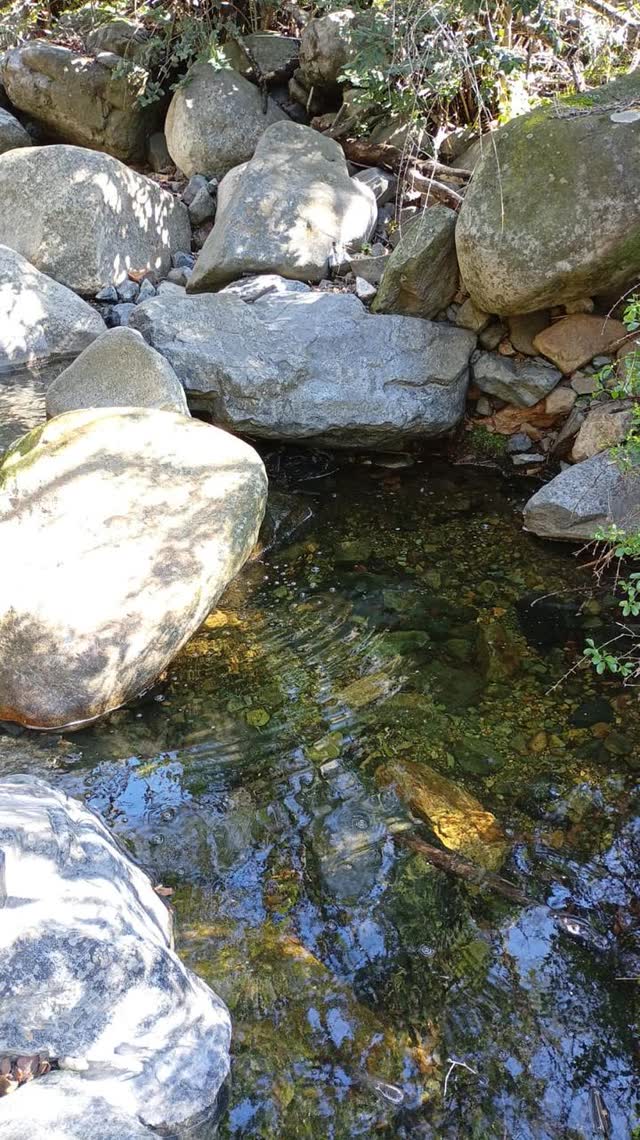 Poza de agua cristalina entre rocas del estero