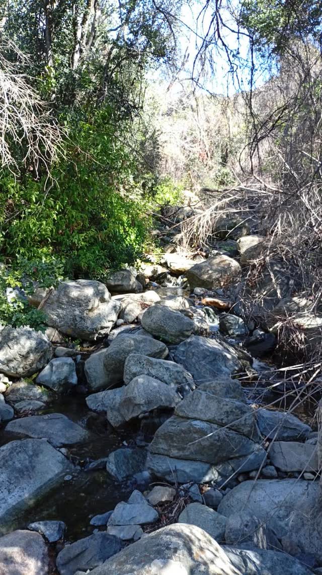 Cauce de la quebrada con piedras y vegetación a ambos lados