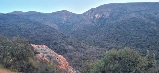 Farellón de roca anaranjada asomando sobre una quebrada boscosa