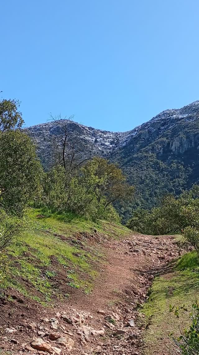 Sendero de tierra ascendiendo hacia las cumbres nevadas