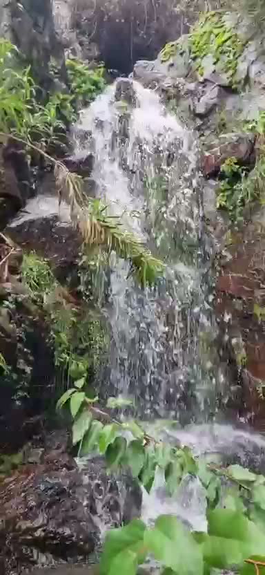 Cascada bajando entre rocas y vegetación