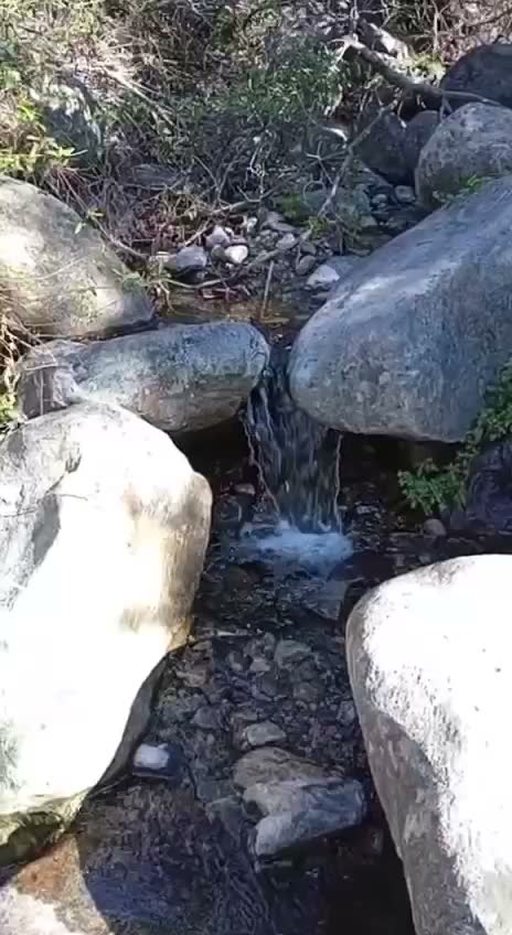 Detalle del fondo de la quebrada con agua y piedras