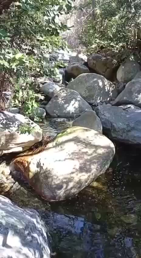 Curso de agua transparente corriendo entre piedras