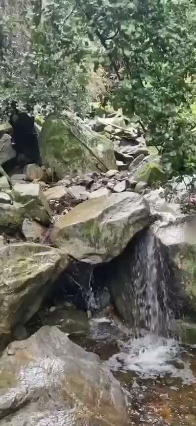 Agua corriendo entre grandes piedras del estero